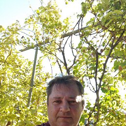 , 38 , 
