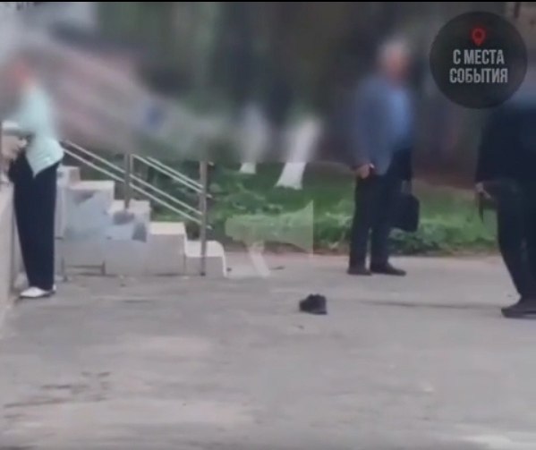 Мужчина намеренно спровоцировал своего пса без намордника набрасываться на женщину с маленьким ...