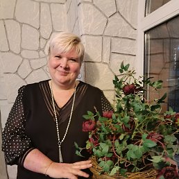 , 53, 