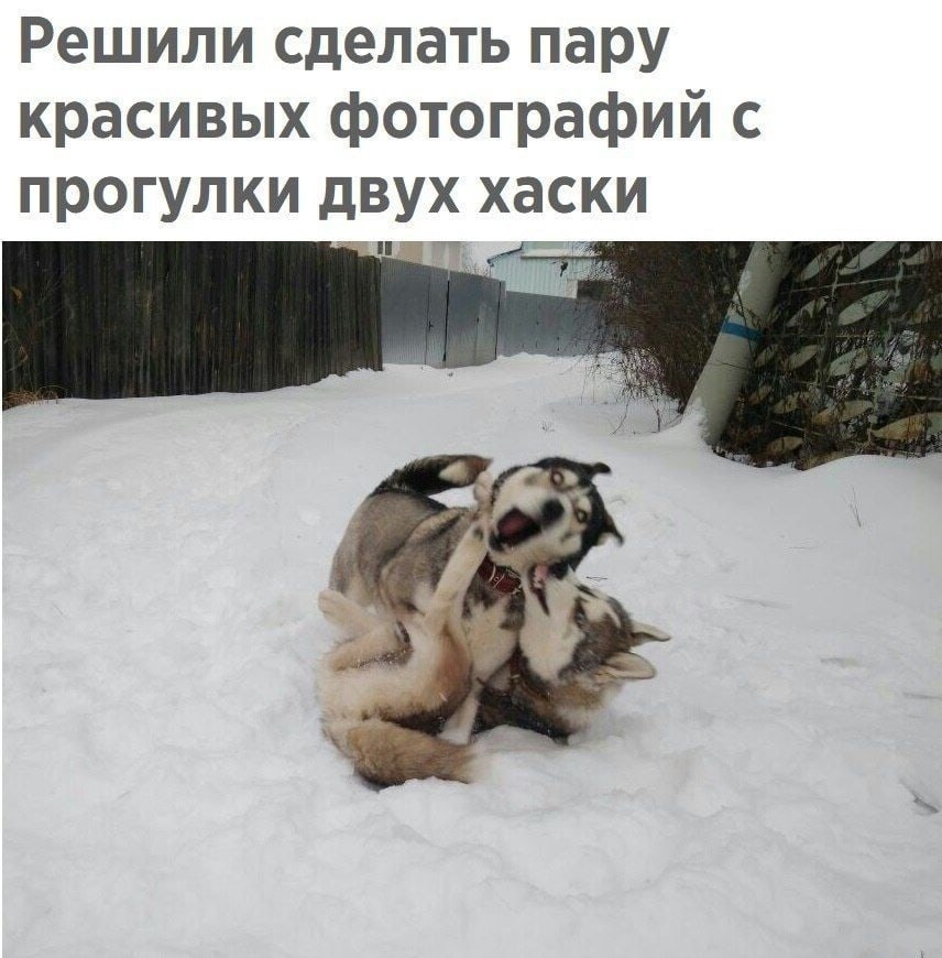 ����� ����� �����