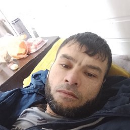 , 31 , 
