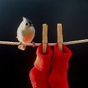 ���� �������, ���, 24 ���� - ��������� 30 ����� 2025 � ������ ���� ����������