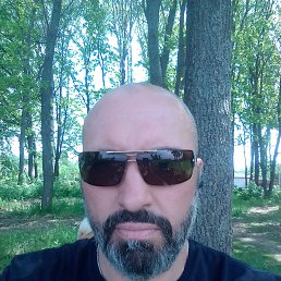 , 51,  