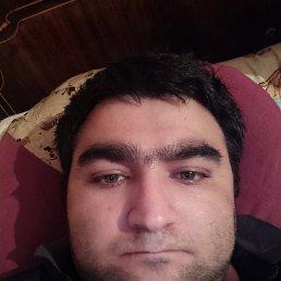 ���� Elvin, ����, 34 ���� - ��������� 9 ������� 2025