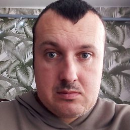 ��������, ������, 37 ���