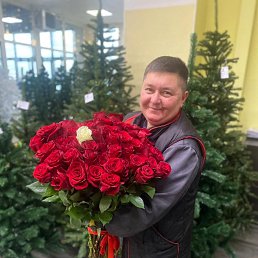 ���� �����, �����������, 48 ��� - ��������� 6 ���� 2025