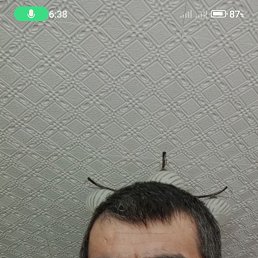 , 41 , 