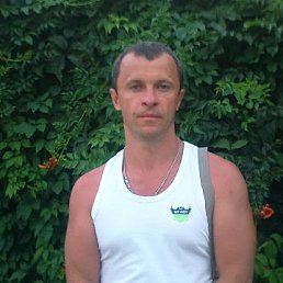 ���� �����, ���������, 54 ���� - ��������� 1 ���� 2024