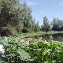  , , 74  -  5  2025   29   