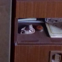 ����, ����������, 49 ���