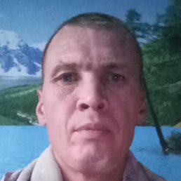 �����, �������, 41 ���