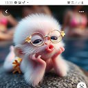 ���� �������, ������, 36 ��� - ��������� 16 ���� 2024