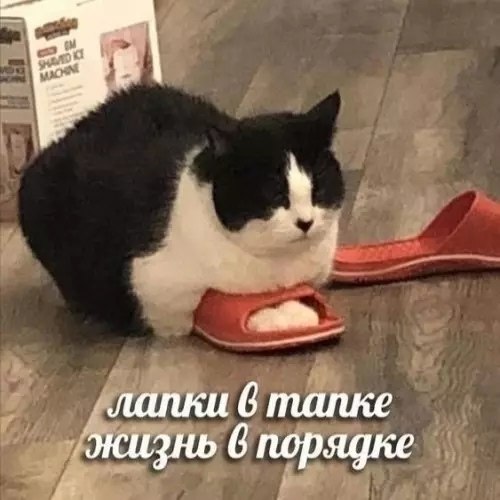 ��� - 1 ���� 2026 � 20:32