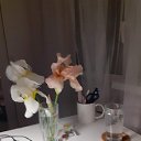 ���� ��� ., �����, 72 ���� - ��������� 2 ���� 2026 � ������ ���� ����������