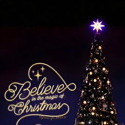 Temur, �����, 23 ����