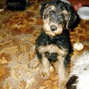 ���� ������, ������, 67 ��� - ��������� 1 ������� 2025 � ������ ���� ����������