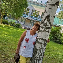 �����, ������, 66 ���