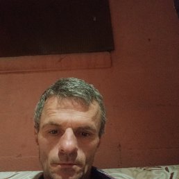   , 41, 