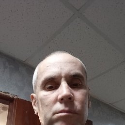 , 43 , 