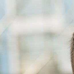 Danya _ 77-t, ����� - ��������, 48 ���