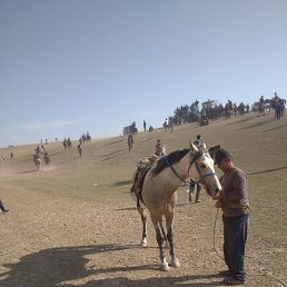 ���, �����, 28 ���