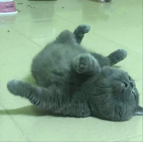   .   ,   ,   ,   ,  ,    ... - 3