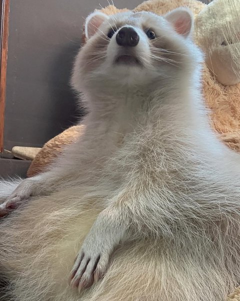   -,   .        ,  ... - 5