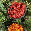 ���� ������, ������, 63 ���� - ��������� 17 ������� 2025 � ������ ����������� ���������.�