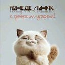 ���� �����, ������, 45 ��� - ��������� 3 ������ 2026