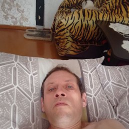 ������, 43 ����, ����������