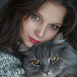 ��������., ���������, 49 ���