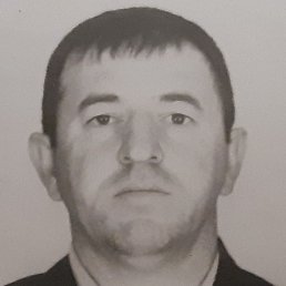 �����, ��������, 37 ���