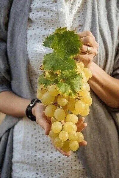  ,   -     .      ...