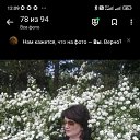 ���� ����, ���������, 49 ��� - ��������� 4 ������ 2023 � ������ ���� ����������