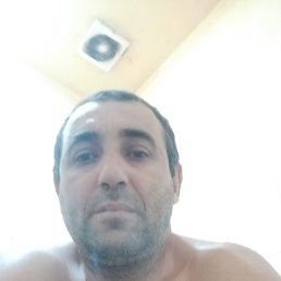 , 41 , 
