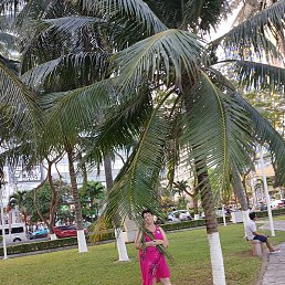 �������, ������, 67 ���