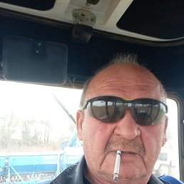 , 56, 