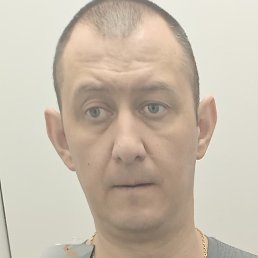 �����, ������, 41 ���