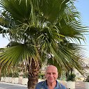 ���� �������, ������, 71 ��� - ��������� 21 ������ 2024 � ������ ���� ����������