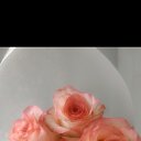 ���� �����, ���������, 39 ��� - ��������� 26 ������ 2026 � ������ ���� ����������