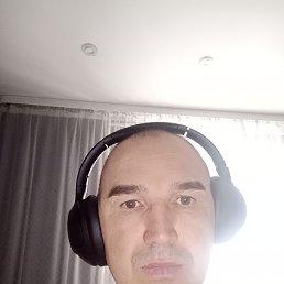 ����, 41 ���, ���