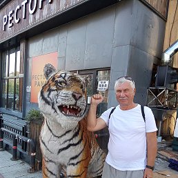 �������, 66 ���, �����������