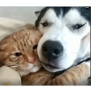 �����, 34 ����, ������