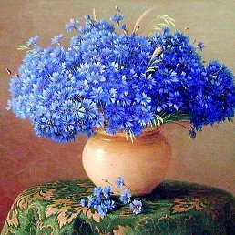 ���������, ������ ��������