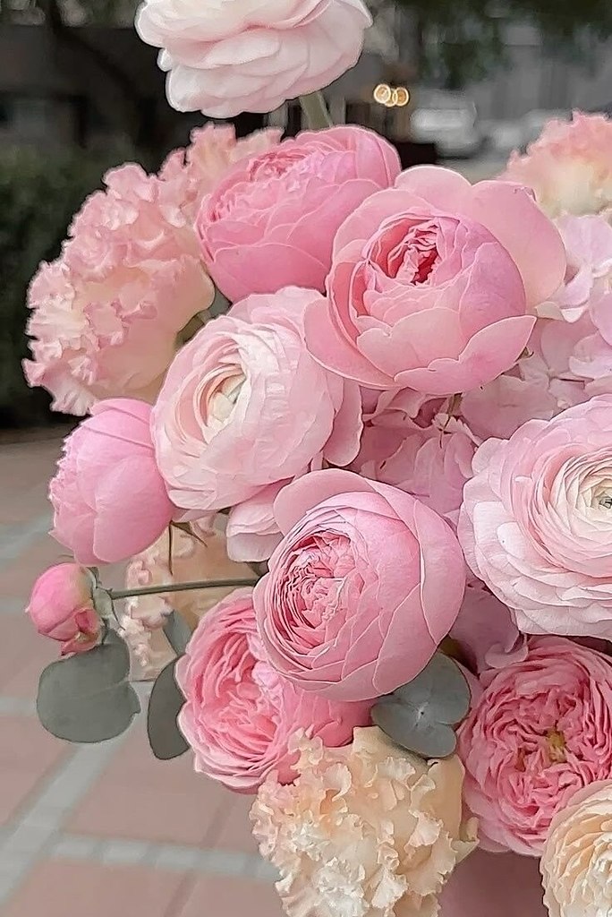   ,      .   ,     . ...