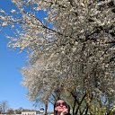 ���� �����, ������, 51 ��� - ��������� 20 ������ 2025 � ������ ���� ����������