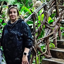 ���� ��������, ������, 44 ���� - ��������� 1 ���� 2025