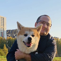 �������, ������, 35 ���