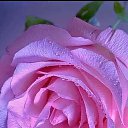 ���� ������, ������, 54 ���� - ��������� 30 ���� 2024 � ������ ���� ����������