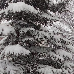 ���� Alik, ������, 56 ��� - ��������� 11 ������ 2024